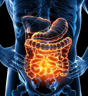 Gastrointestinal Surgeon Doctors in Ahmedabad 